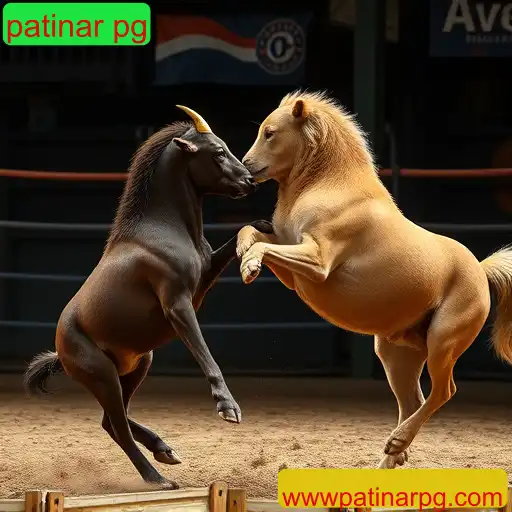 Rinha de galos
